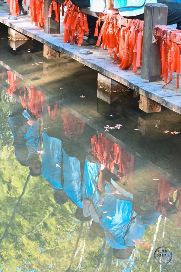 surgical supplies company surgical supplies company